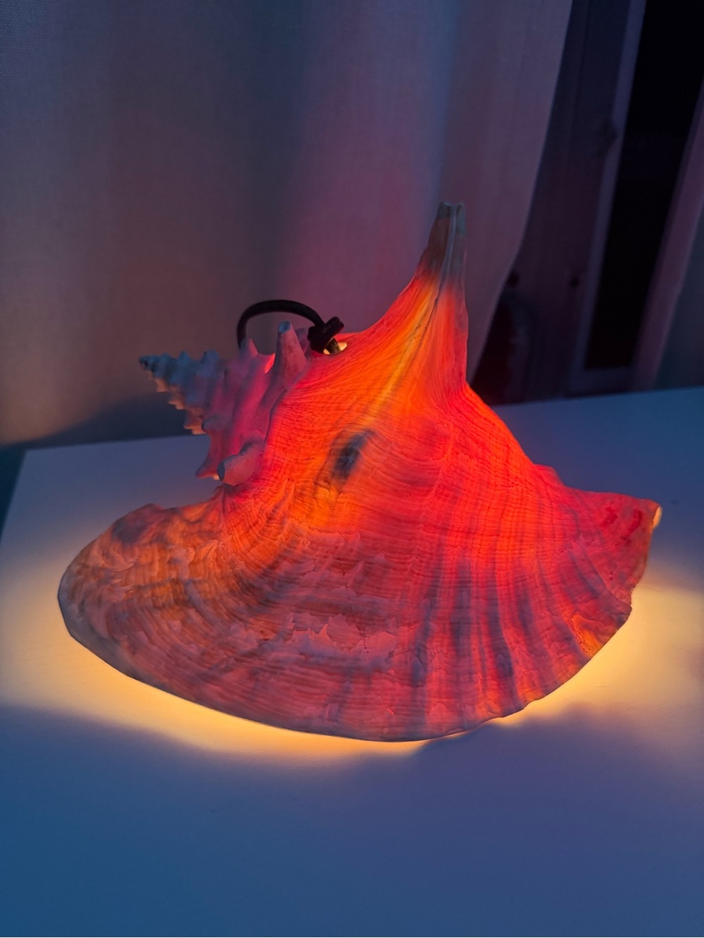 Vintage La Parguera Puerto Rico Conch Shell Lamp Night Light Mid-Century Tiki 9"